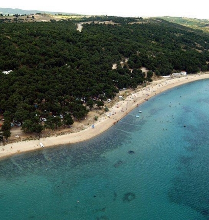 YEŞİL VADİ DANİŞMENT ORMAN KAMPI